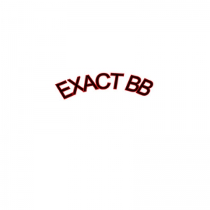Logo EXACT