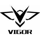 Logo VIGOR