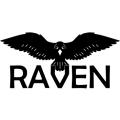 Logo RAVEN